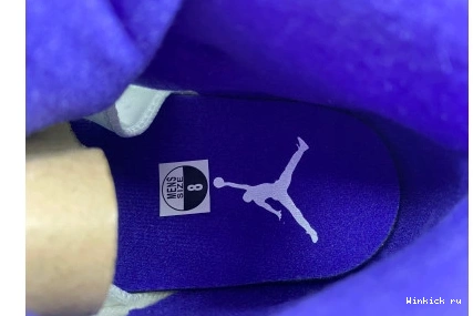 Concord Retro Dark Jordan 5 1102